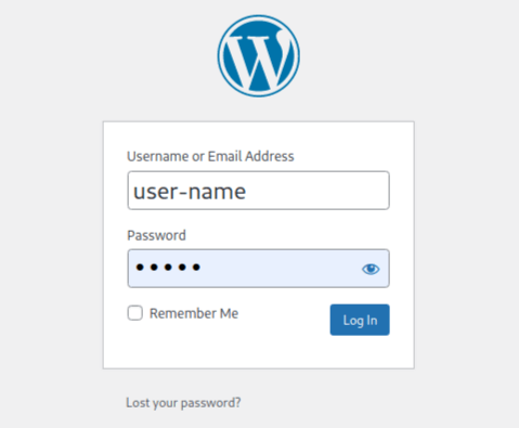 login to wordpress admin