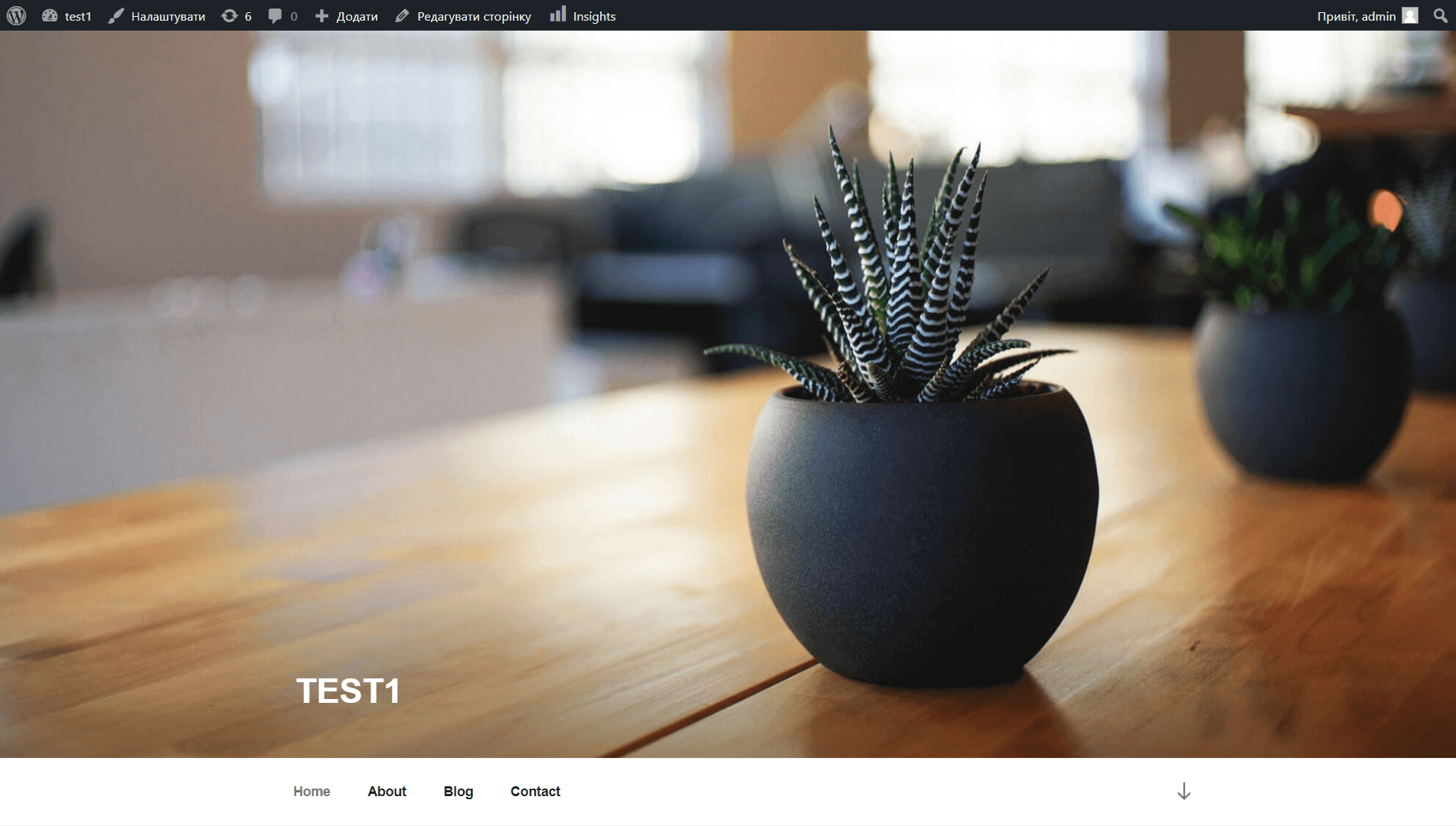 wordpress show theme
